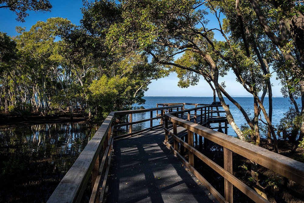 A Wooden Bridge Over A Body Of Water Surrounded By Trees — Pete's Painting Solutions In Bentley Park, QLD