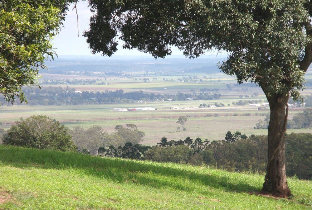 A Tree Stands In The Middle Of A Grassy Field — Pete's Painting Solutions In Redlynch, QLD
