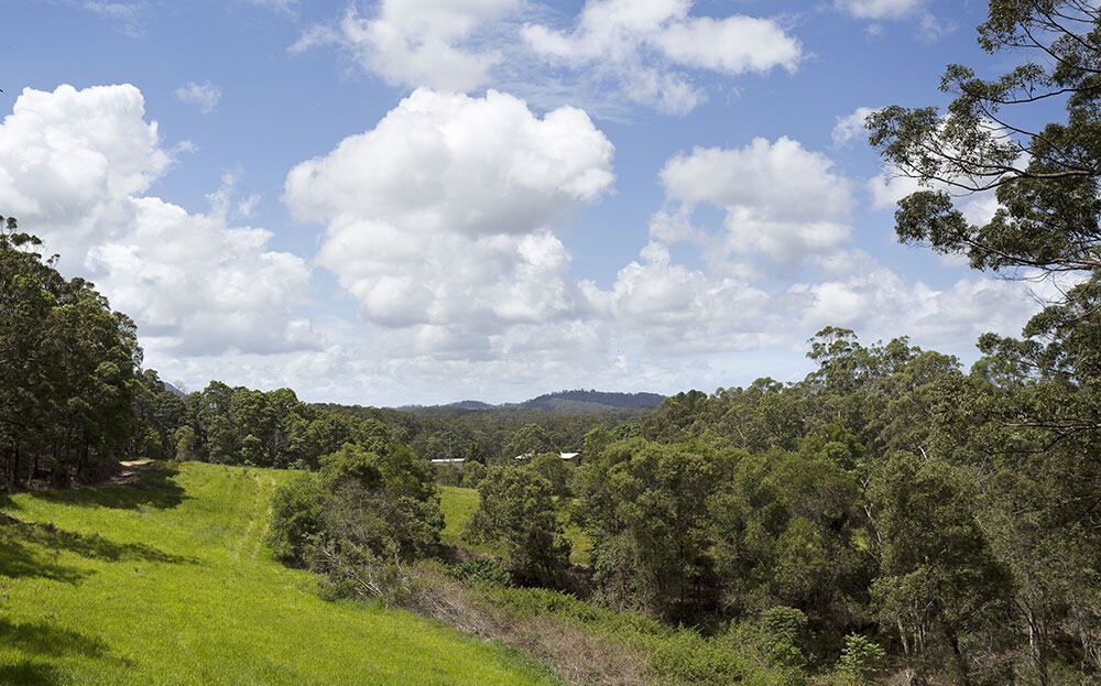 A Lush Green Field With Trees And Clouds In The Sky — Pete's Painting Solutions In Smithfield, QLD