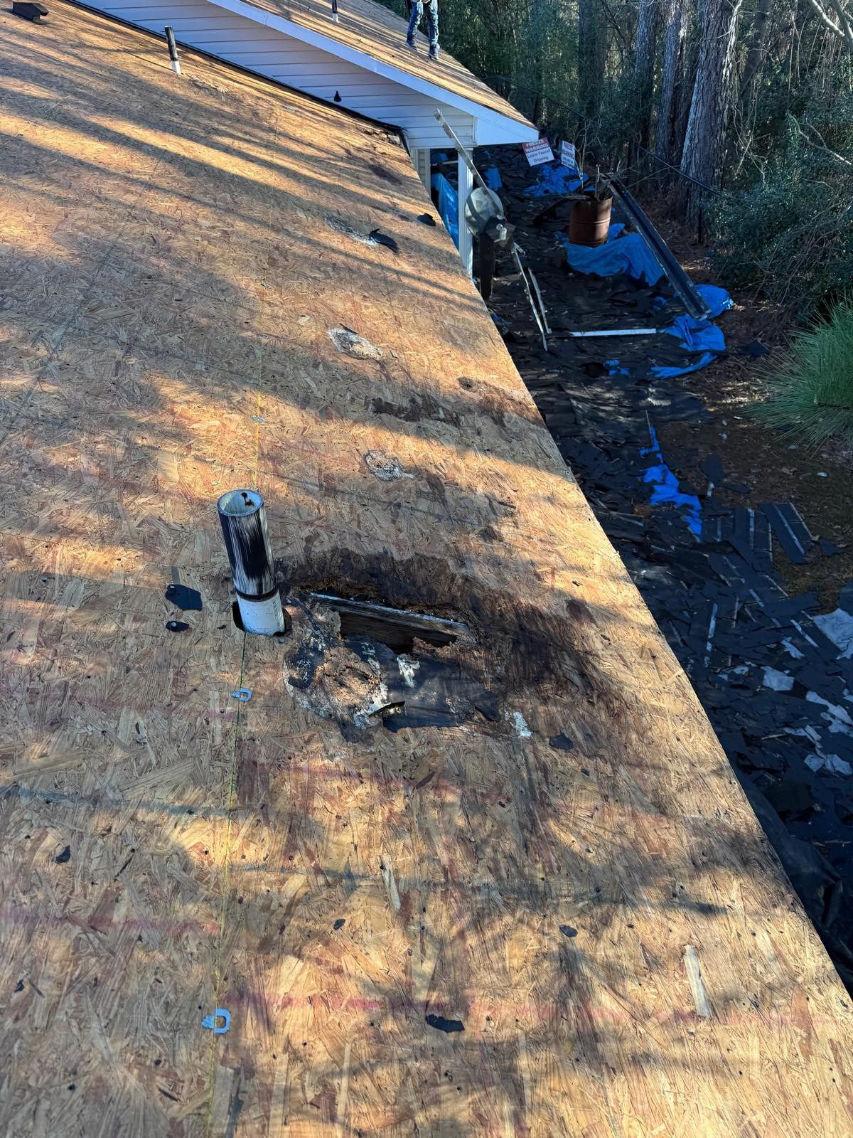 Roof with a damaged section, including a pipe. Plywood is visible. Surrounding trees in the background.