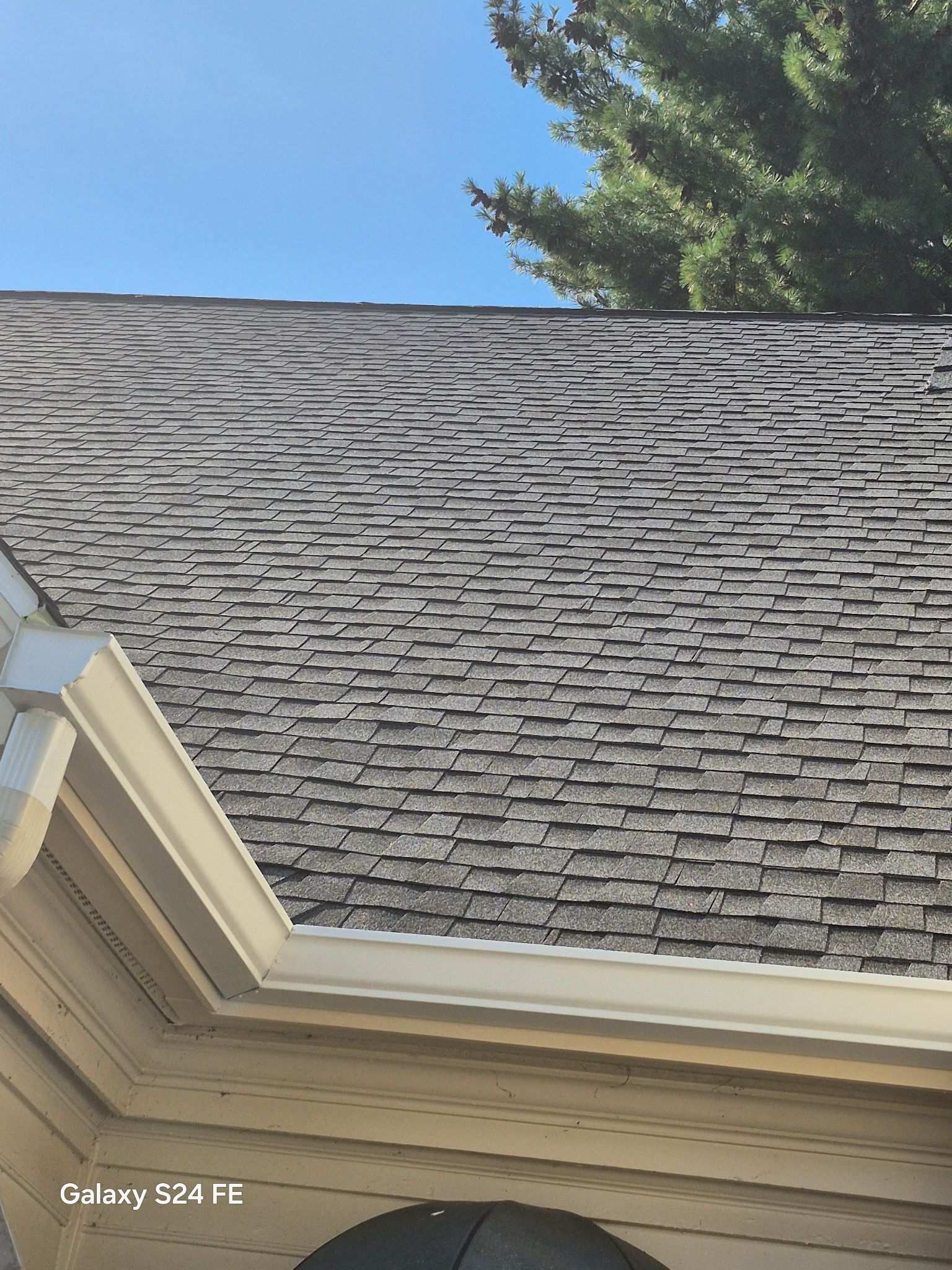 Gray asphalt shingle roof with algae streaks; white trim and a tree against a blue sky.