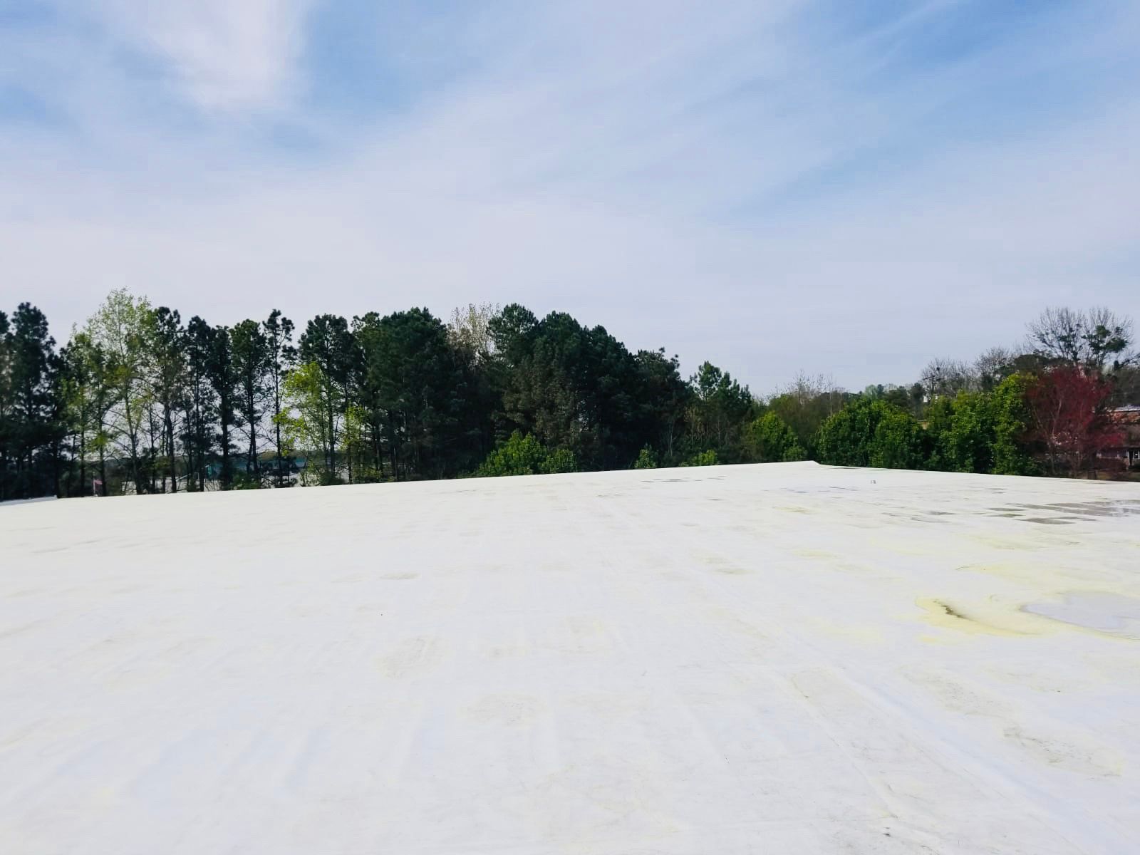 White, flat surface in front of a treeline, under a blue sky with some clouds.