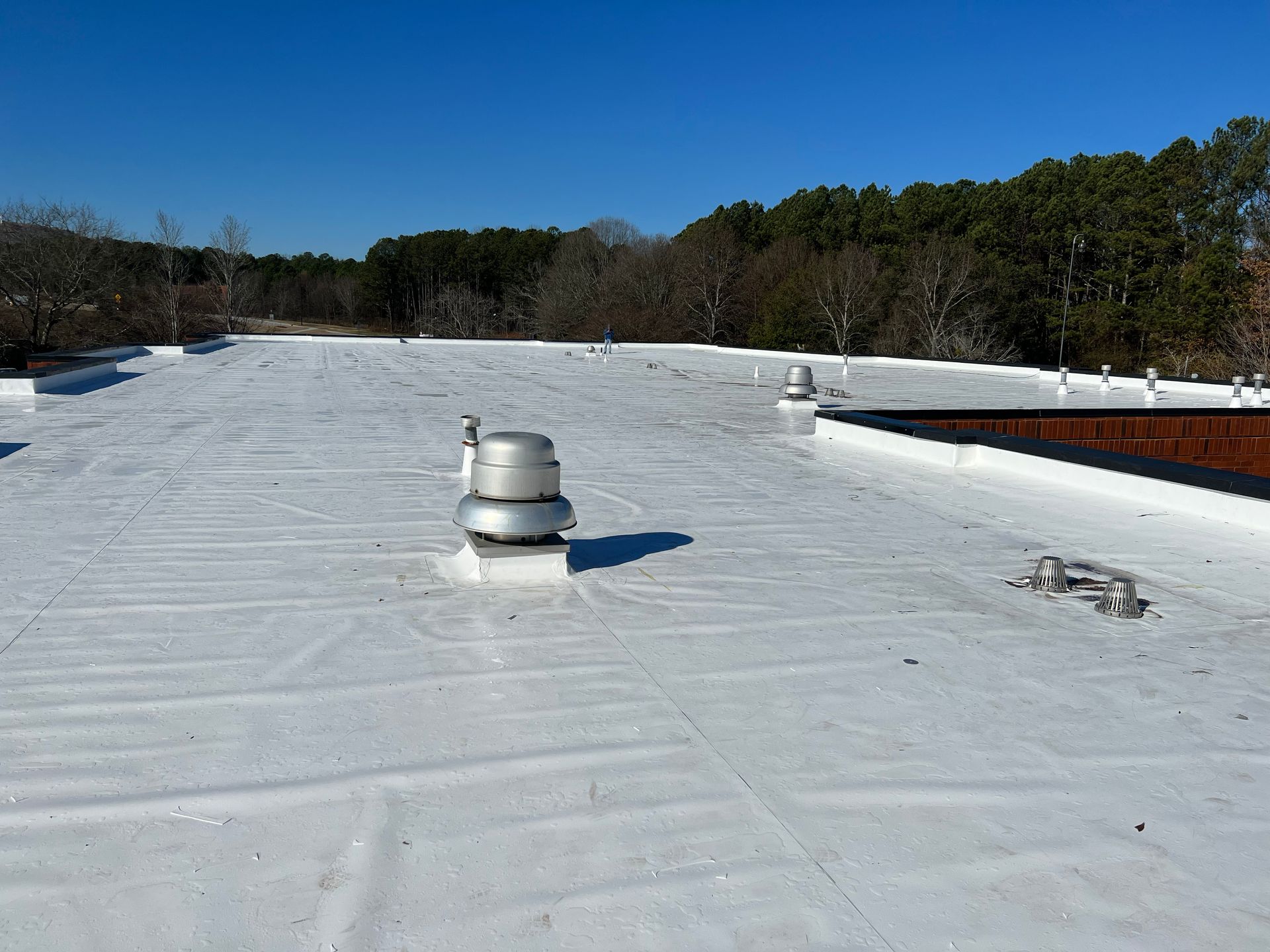 White commercial roof with vents and a treeline in the background under a blue sky.
