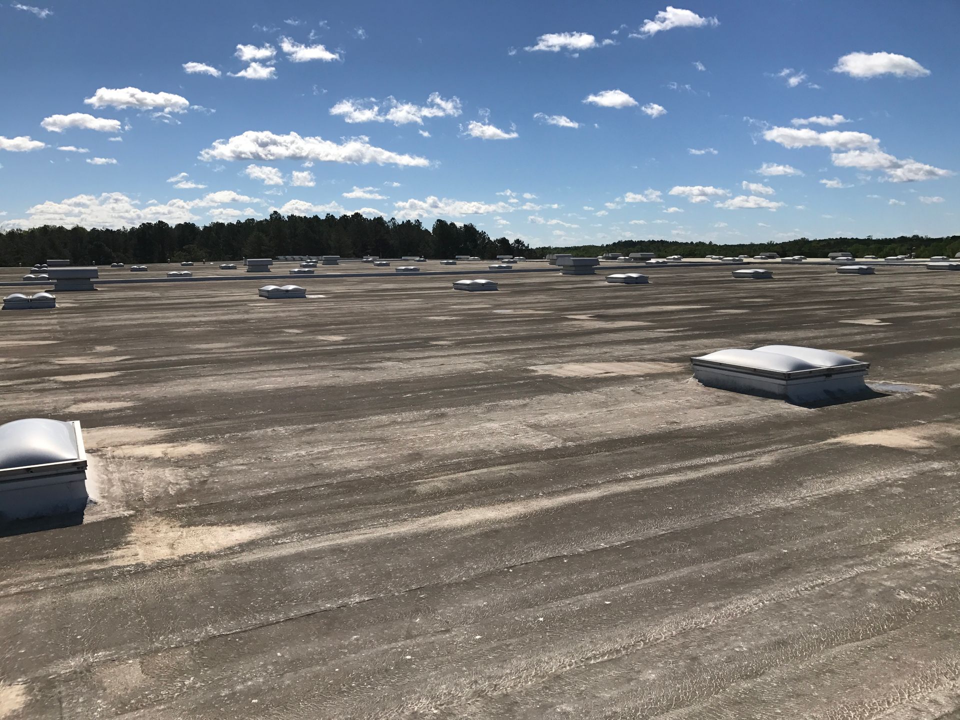 Flat commercial roof with many skylights; clear sky with some clouds and a line of trees in the distance.