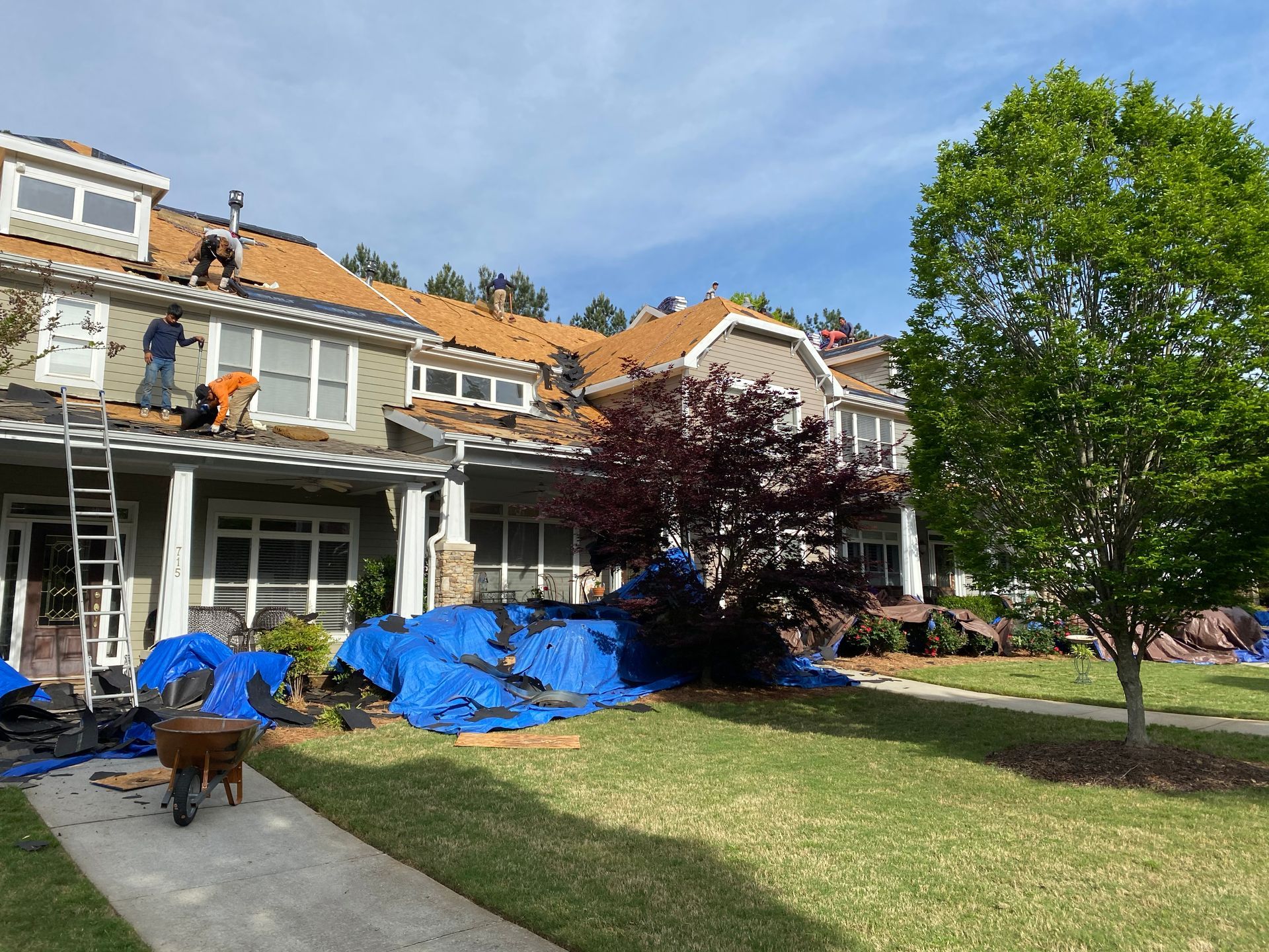 Roofers replacing shingles on a house, tarps on the lawn, ladder, wheelbarrow, sunny day.