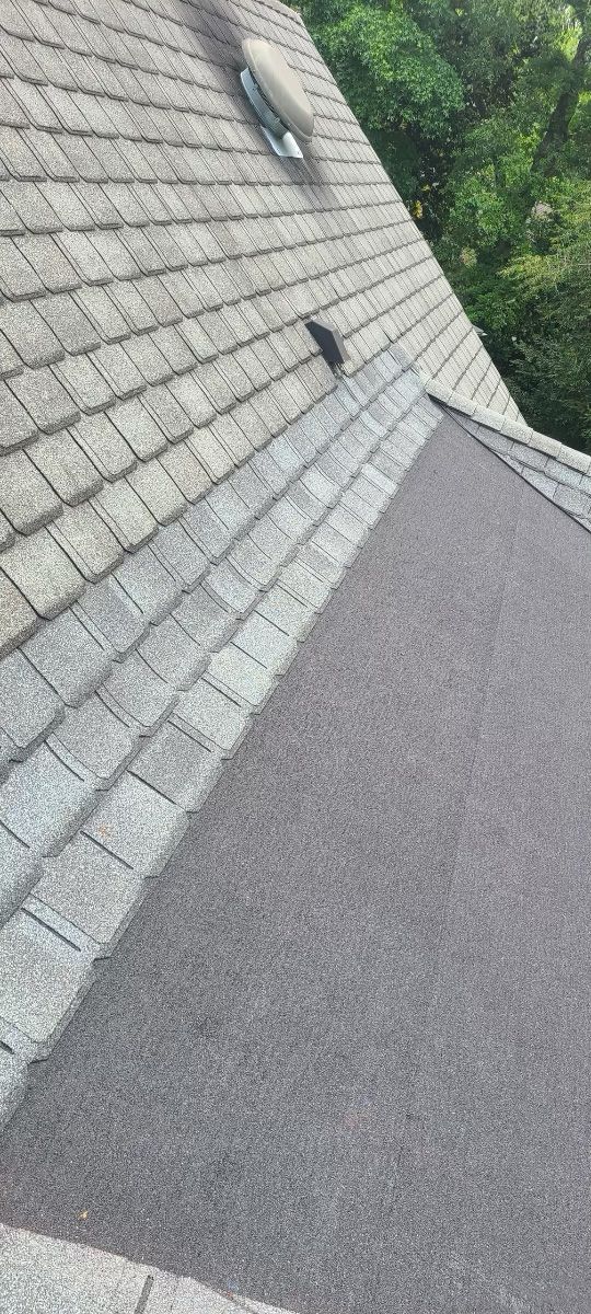 A close-up view of a roof with shingles and a section of dark, smooth material. Green trees are in the background.