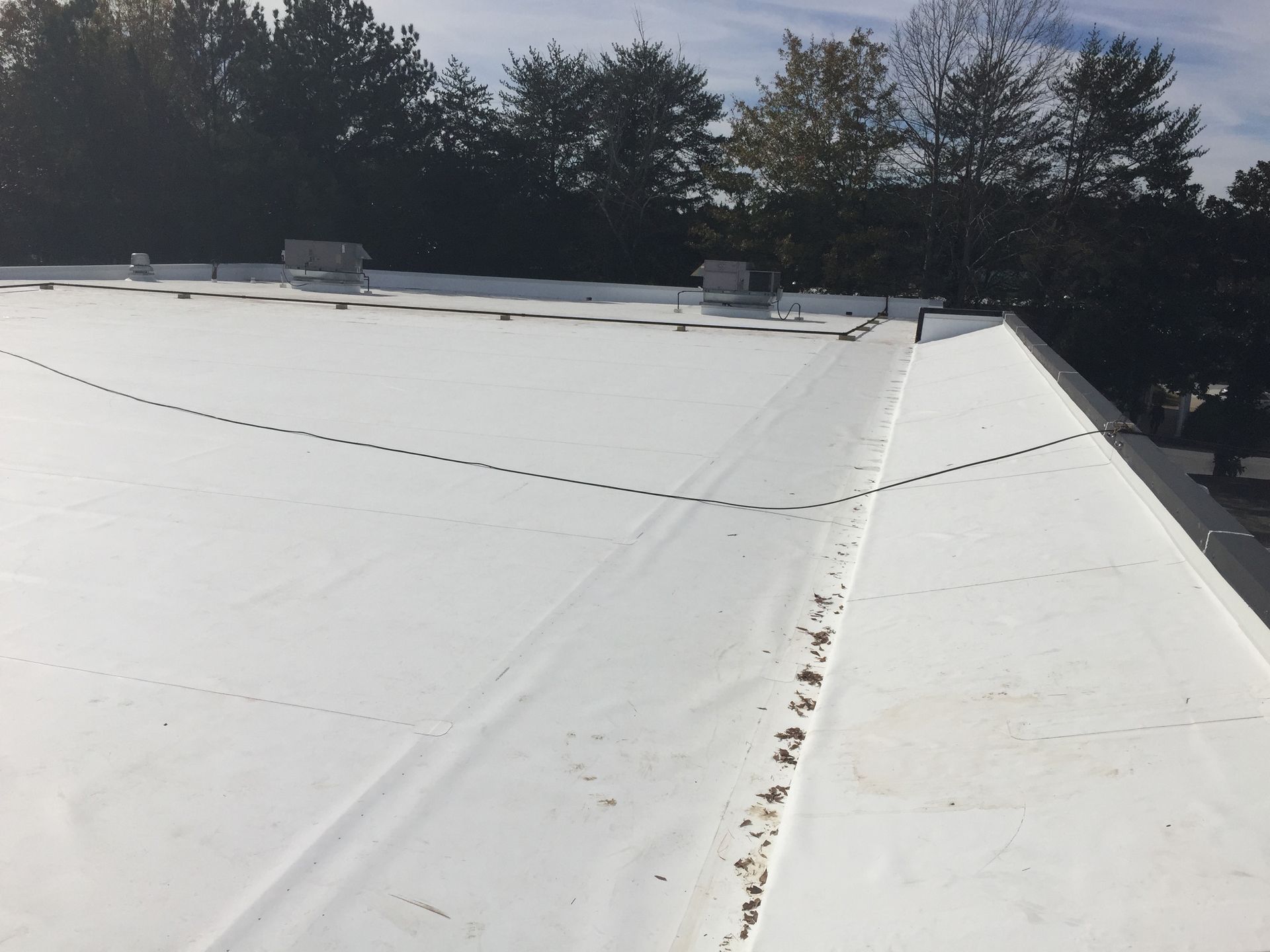White commercial roof with a slightly angled view, trees in background.