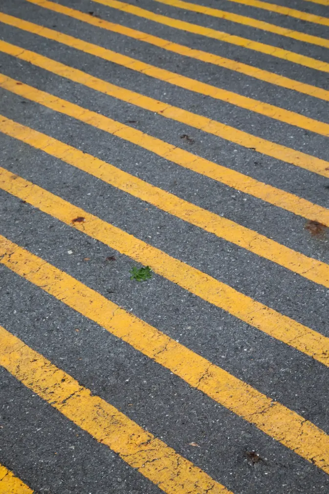 Asphalt Patching in Buckley, Washington