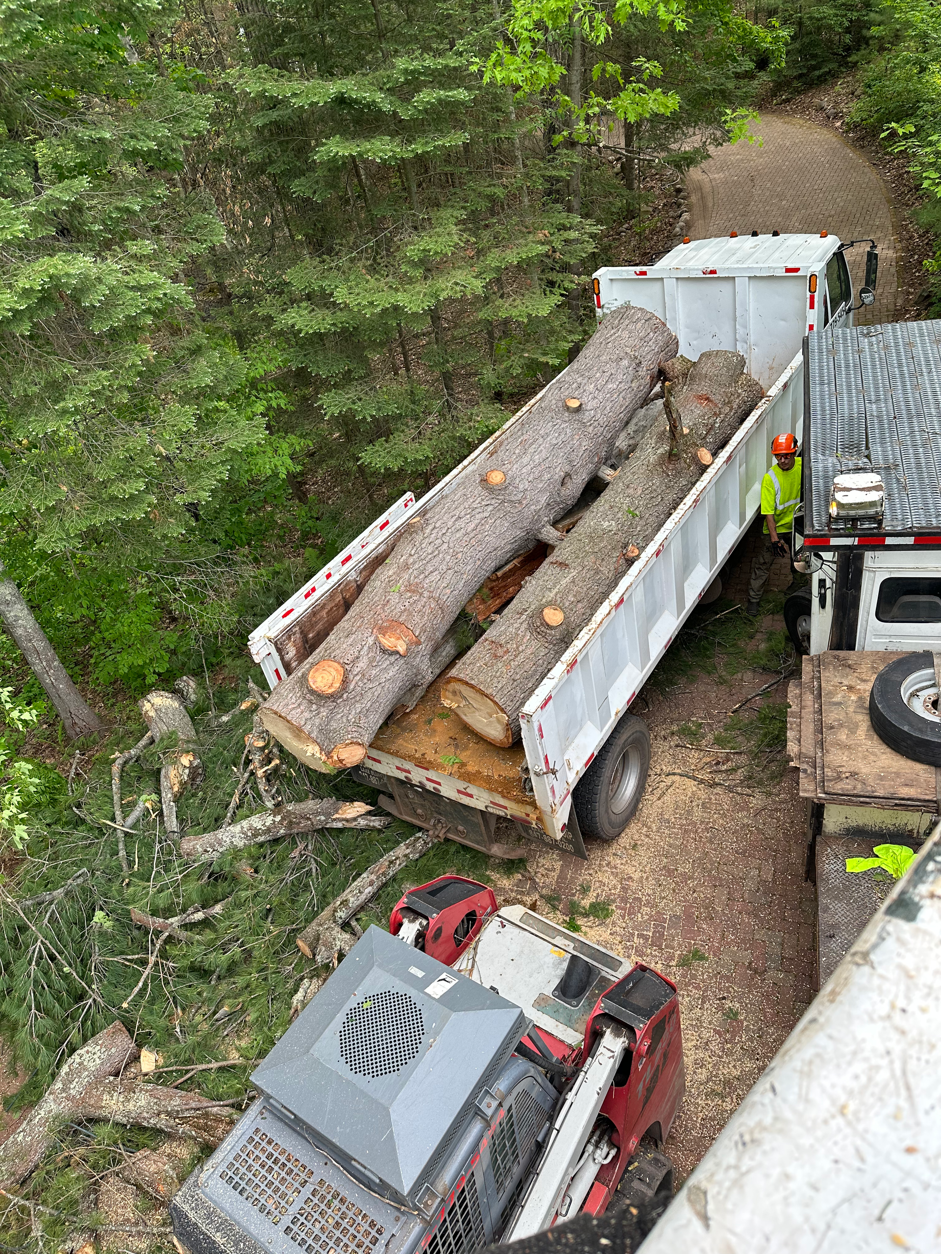 Logs in a truck bed being loaded, with a worker in an orange vest, and a wood chipper nearby.