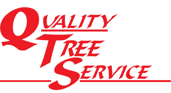 tree services near me