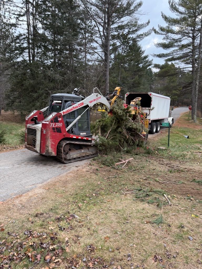 A red skid steer loading evergreen branches into a wood chipper on a gravel driveway.