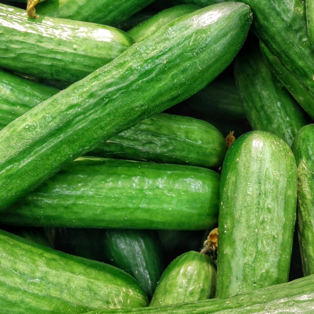 A close up of a pile of green cucumbers.