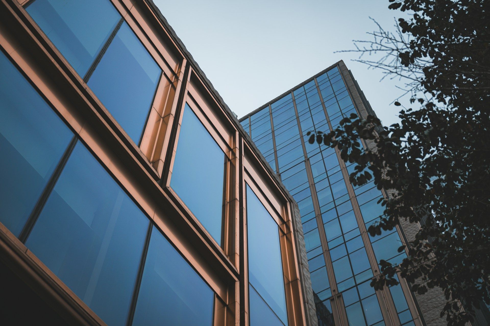 Window Film