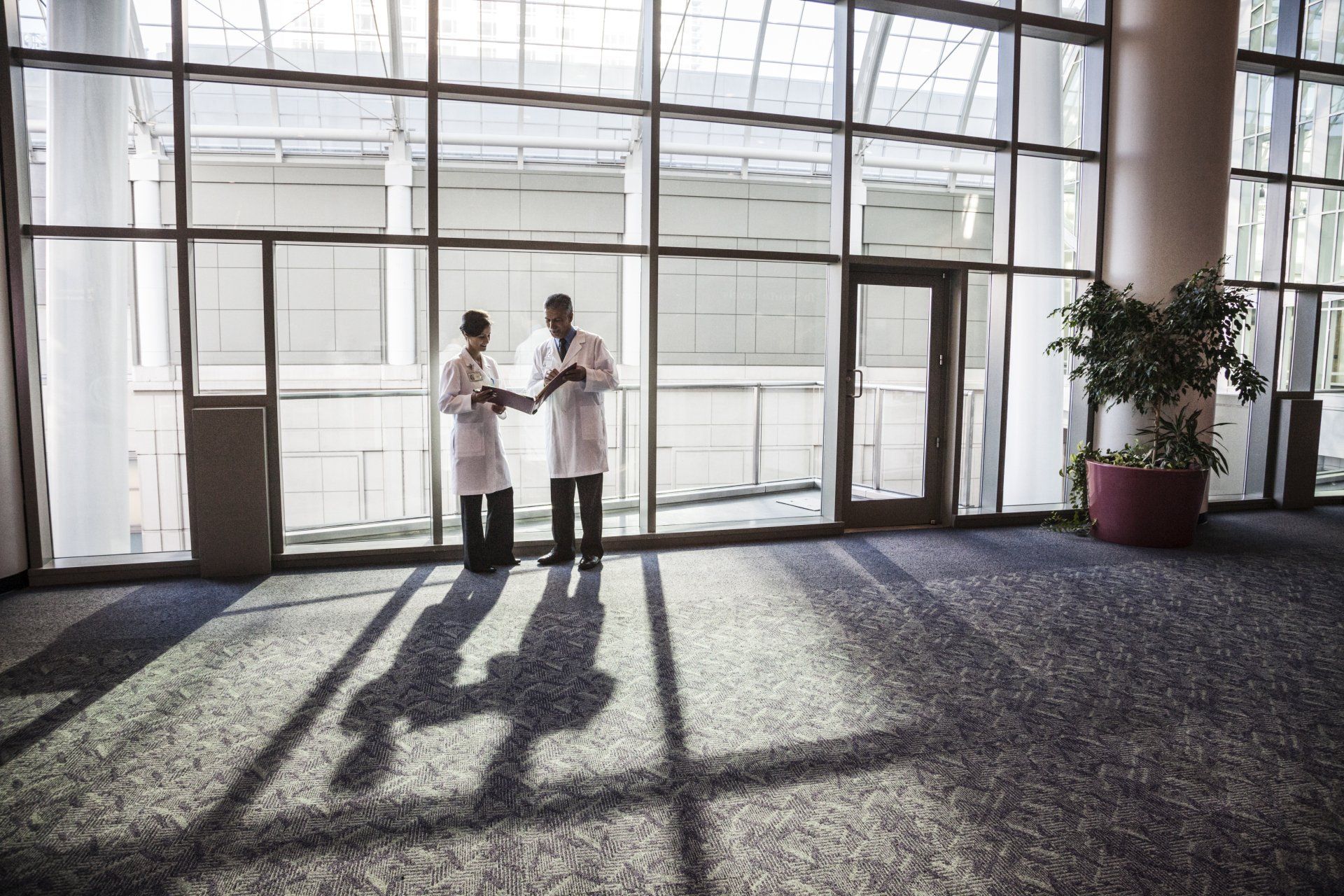 hospital windows