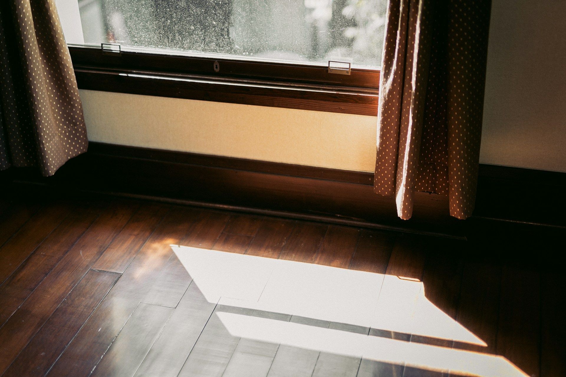 Window