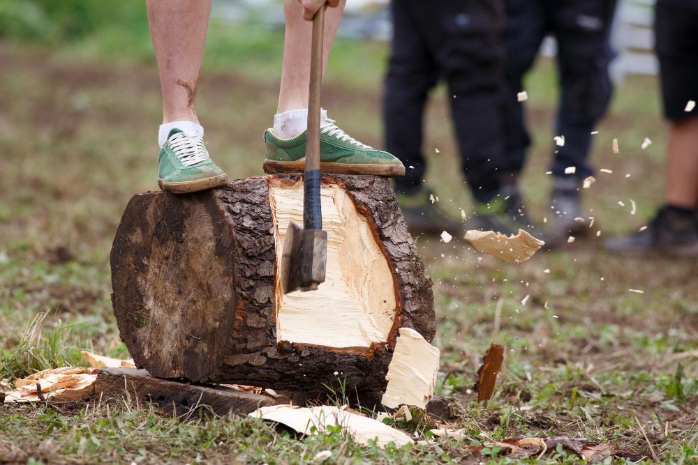 Trusted Tree Services in Dayton OH