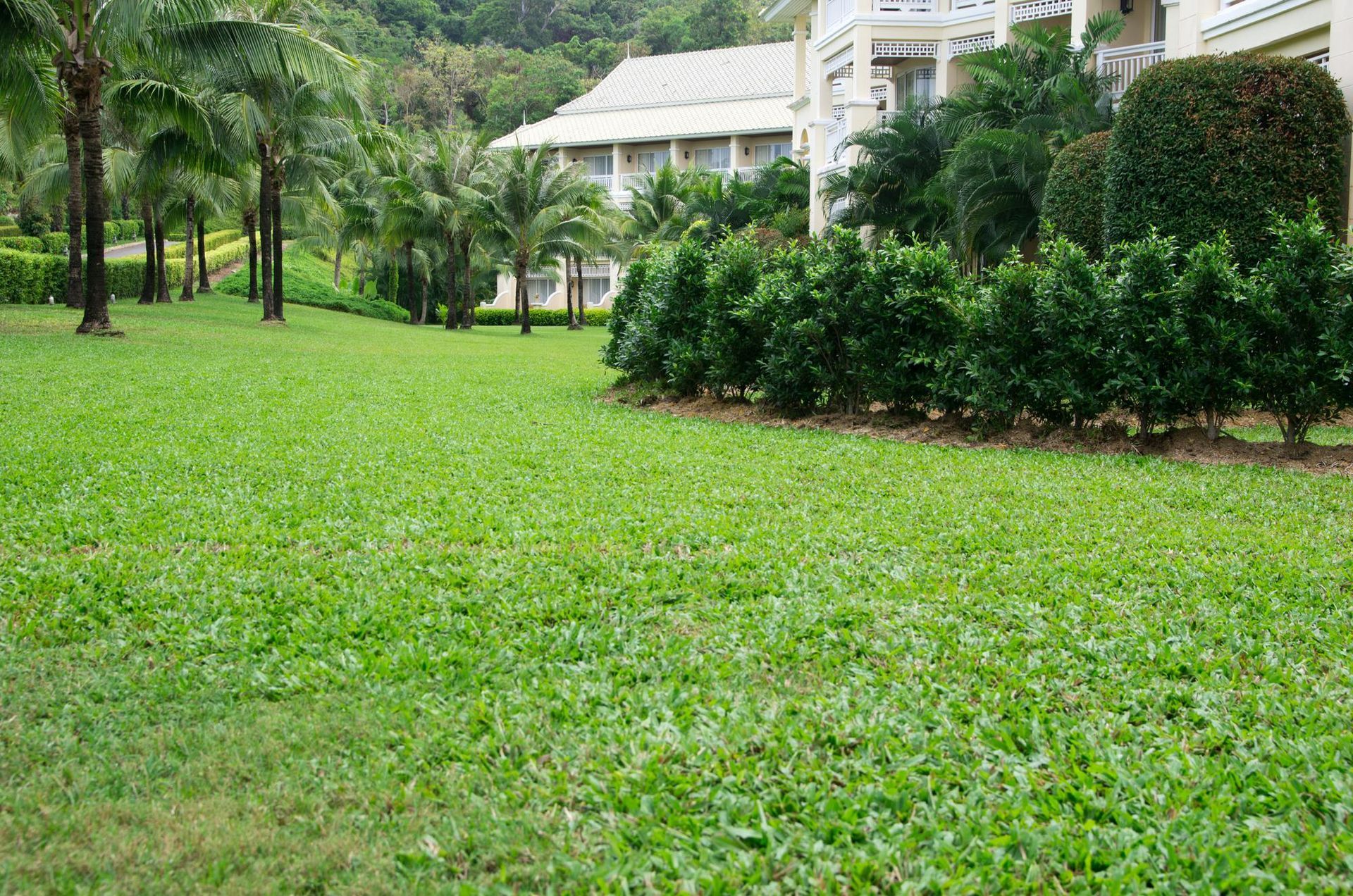 Lawn Care Services in Camden, OH