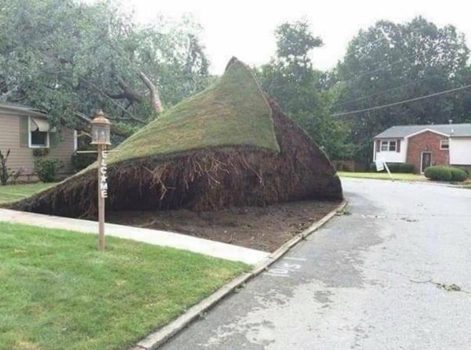 Full Tree Service Brookville