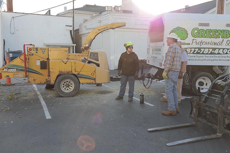 Full Tree Service Franklin