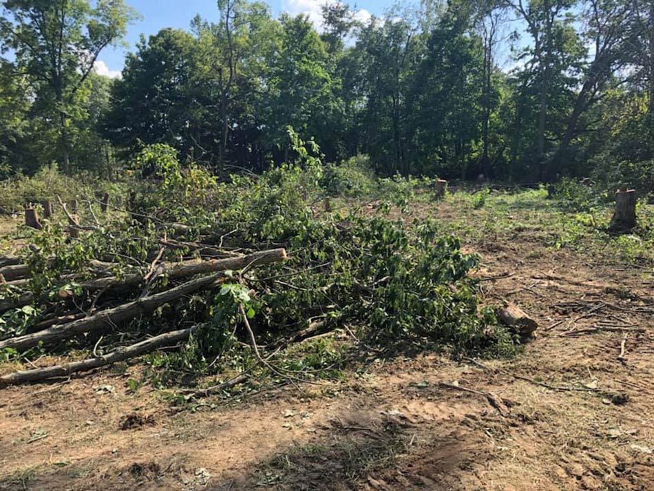 Full Tree Service Waynesville