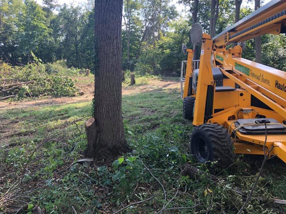 Full Tree Service Fairborn