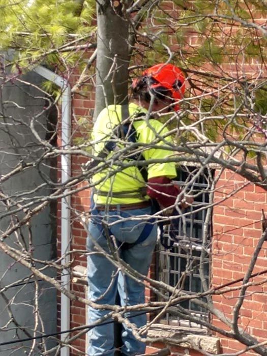 Full Tree Service Middleboro