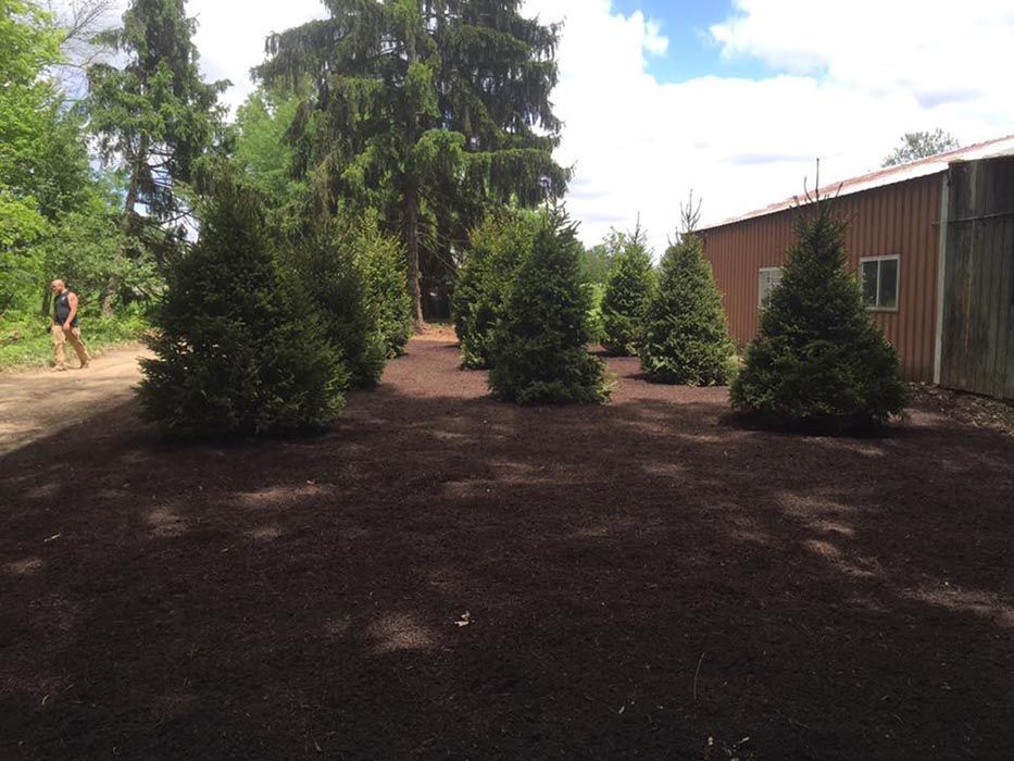 Full Tree Service Carlisle