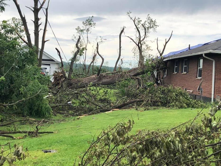 Full Tree Service Liberty