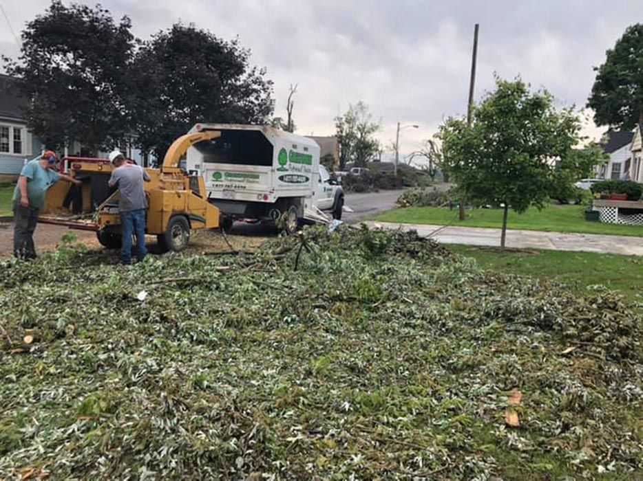 Full Tree Service West Alexandria