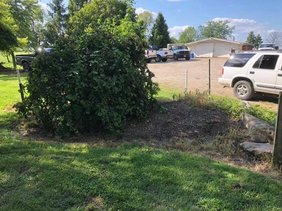 Full Tree Service Miamisburg