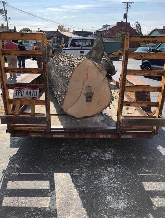 Full Tree Service Lewisburg