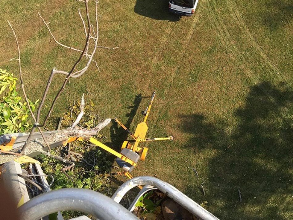Full Tree Service Kettering