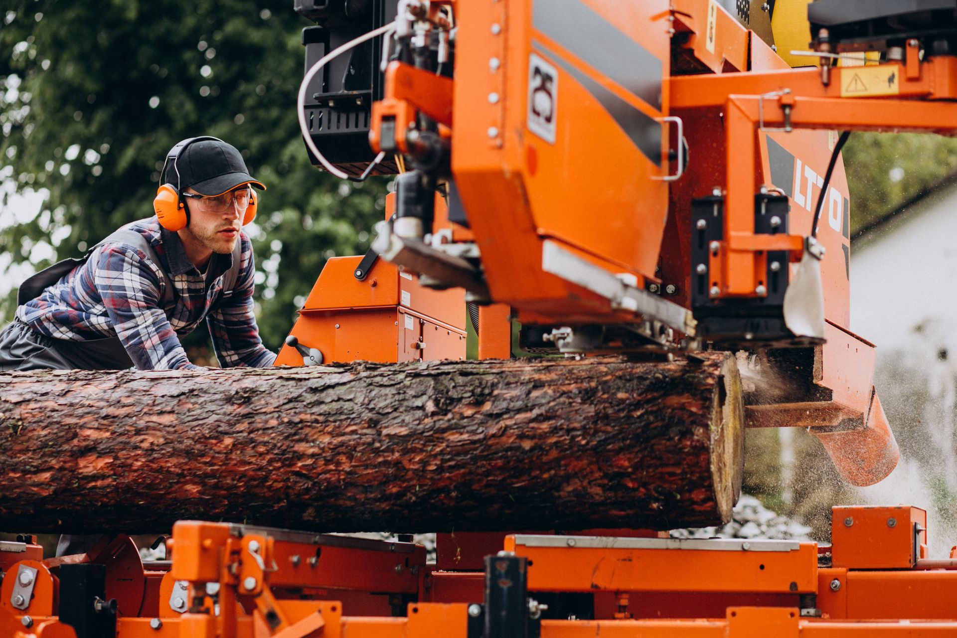 Tree Removal in Camden OH