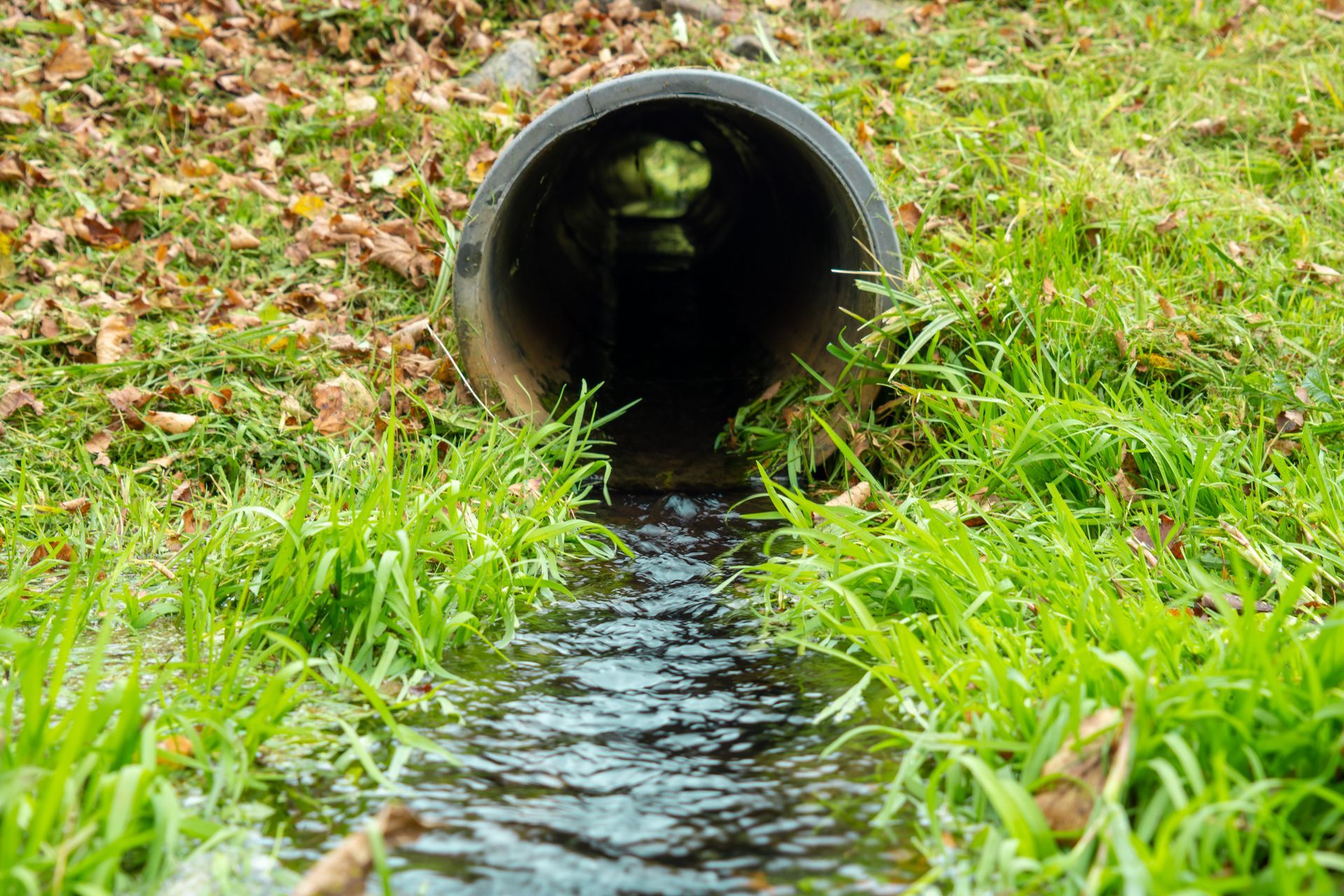 Drainage Services in Camden OH