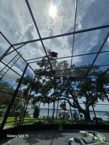 Tree canopy under a mesh roof with clouds overhead in a park or garden walkway