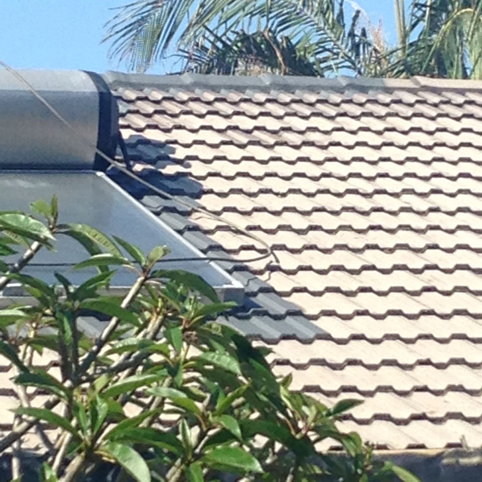 Expert Repainting the Roof — Complete Pressure Cleaning in Glen Port Macquarie, NSW