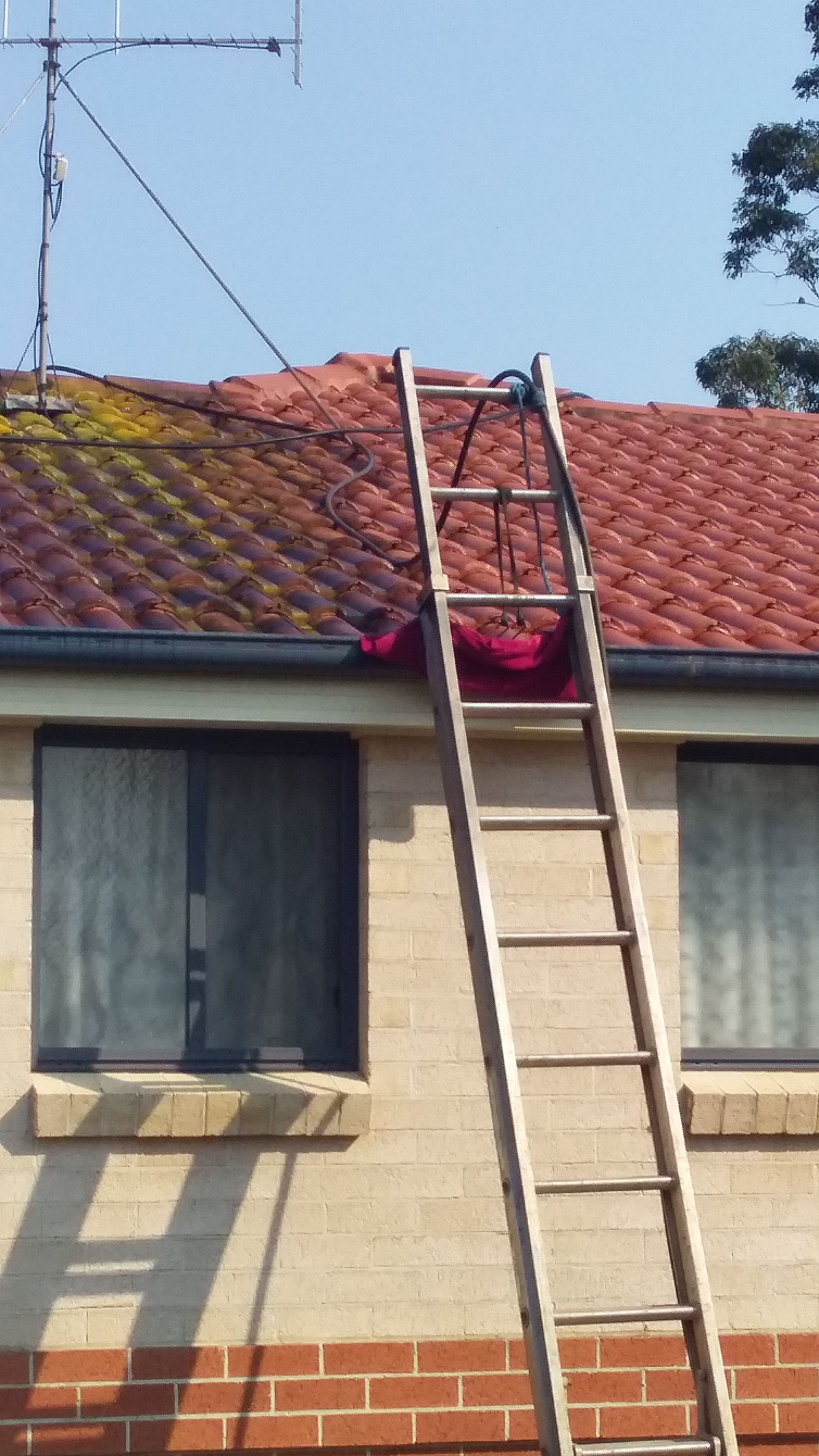 Worker Washing Dirty Window with Pressure Washer  — Complete Pressure Cleaning in Glen Port Macquarie, NSW