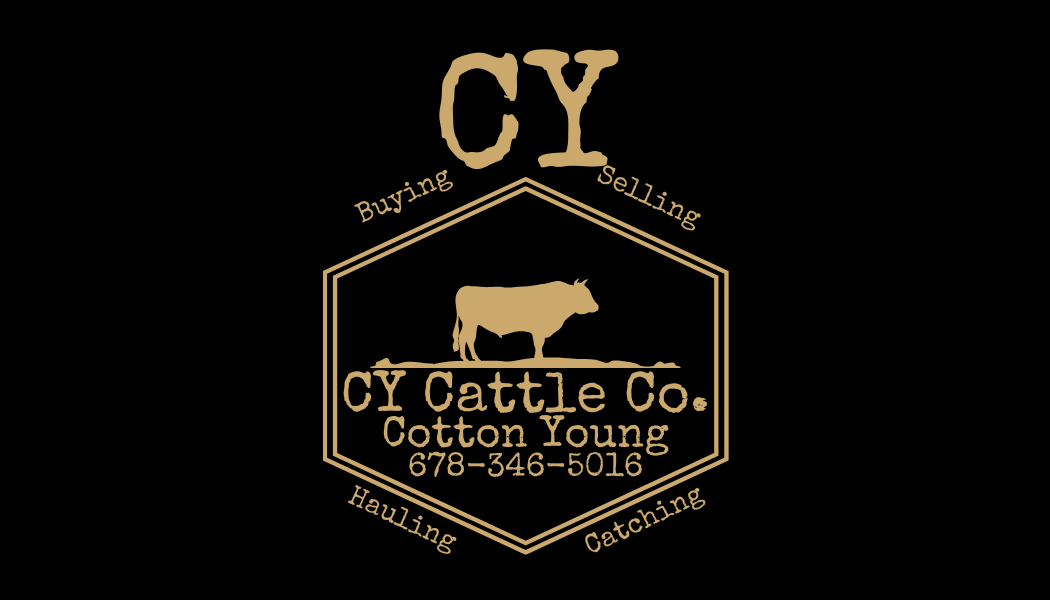The logo for cotton young cow catching shows a cow with long horns.