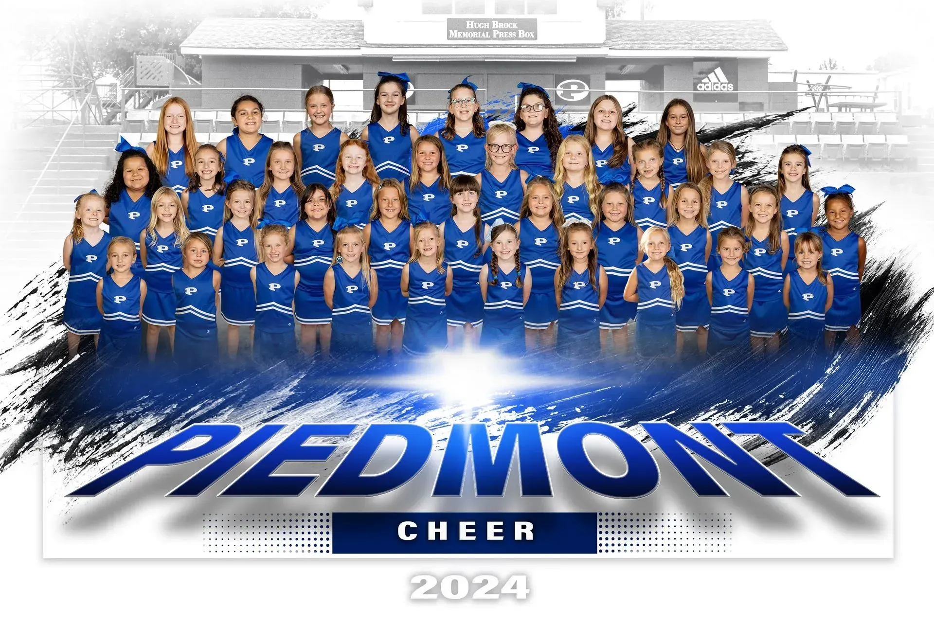 A group of cheerleaders are posing for a team photo.