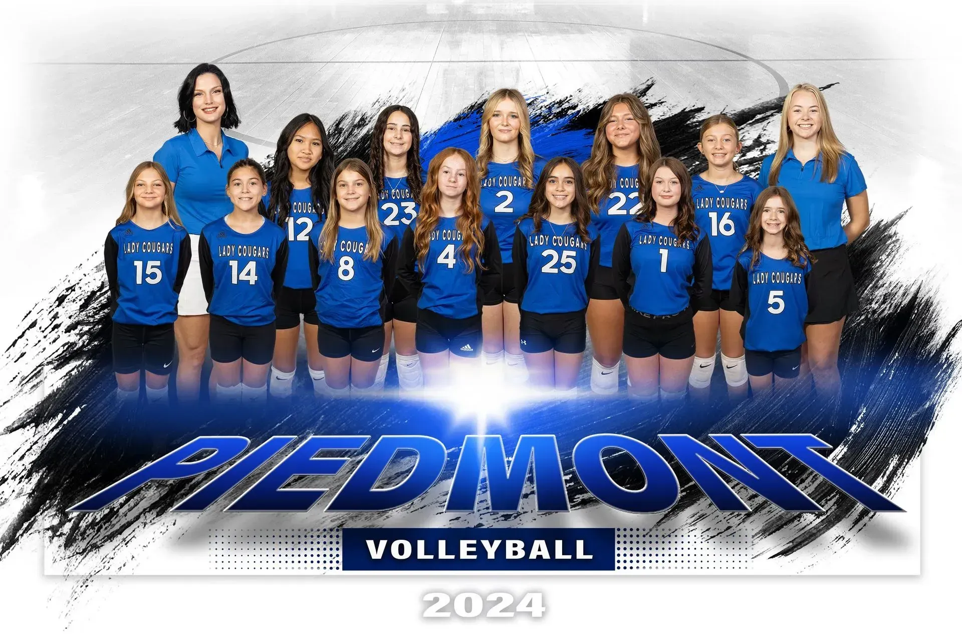 A group of volleyball players are posing for a team photo.