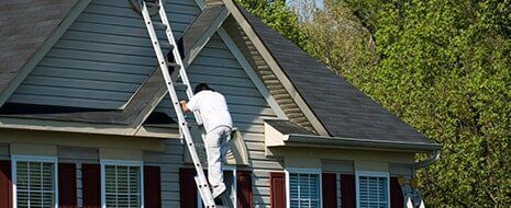 Residential — Painter Climbing Ladder In Bethesda, MD