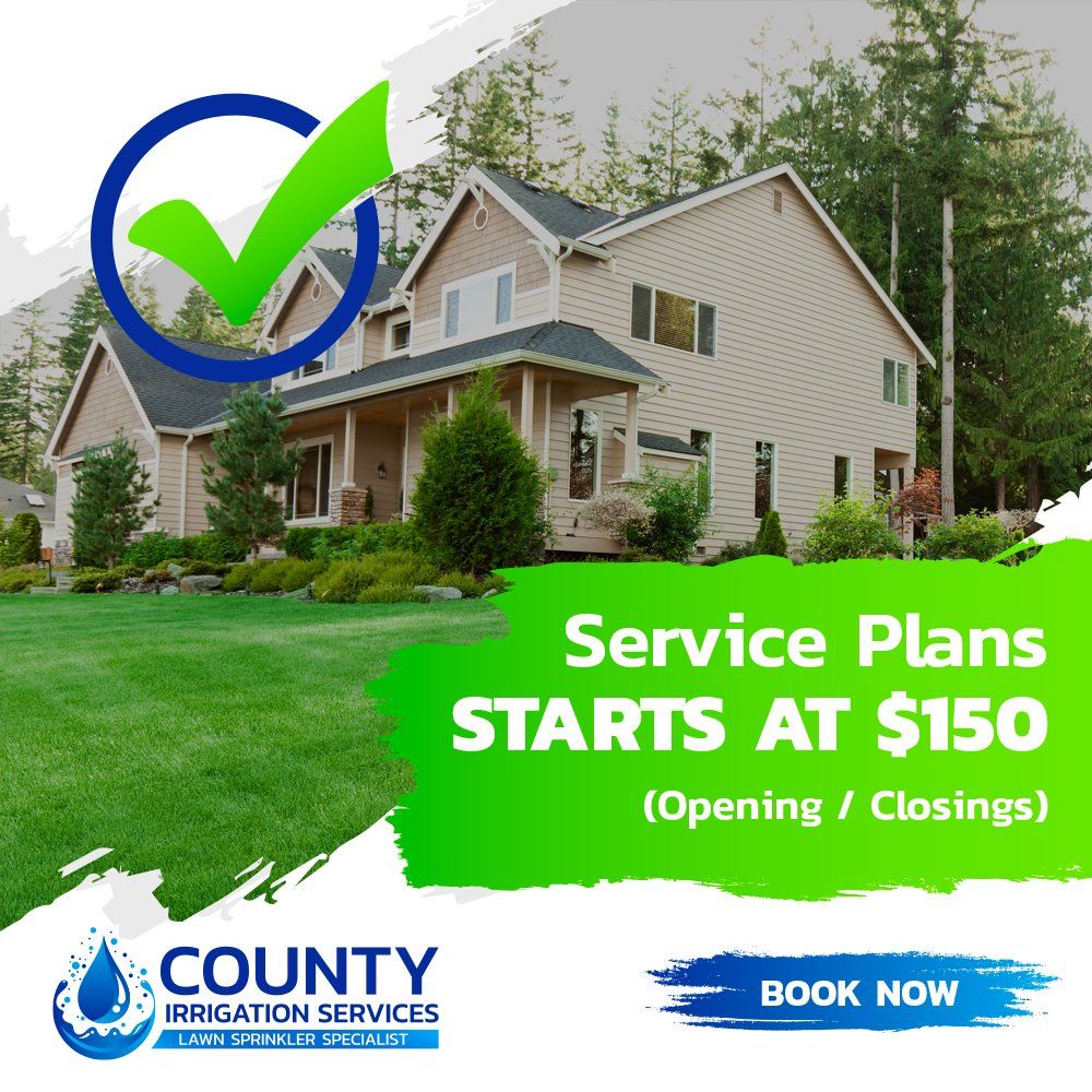 Service Plans Starting at $150