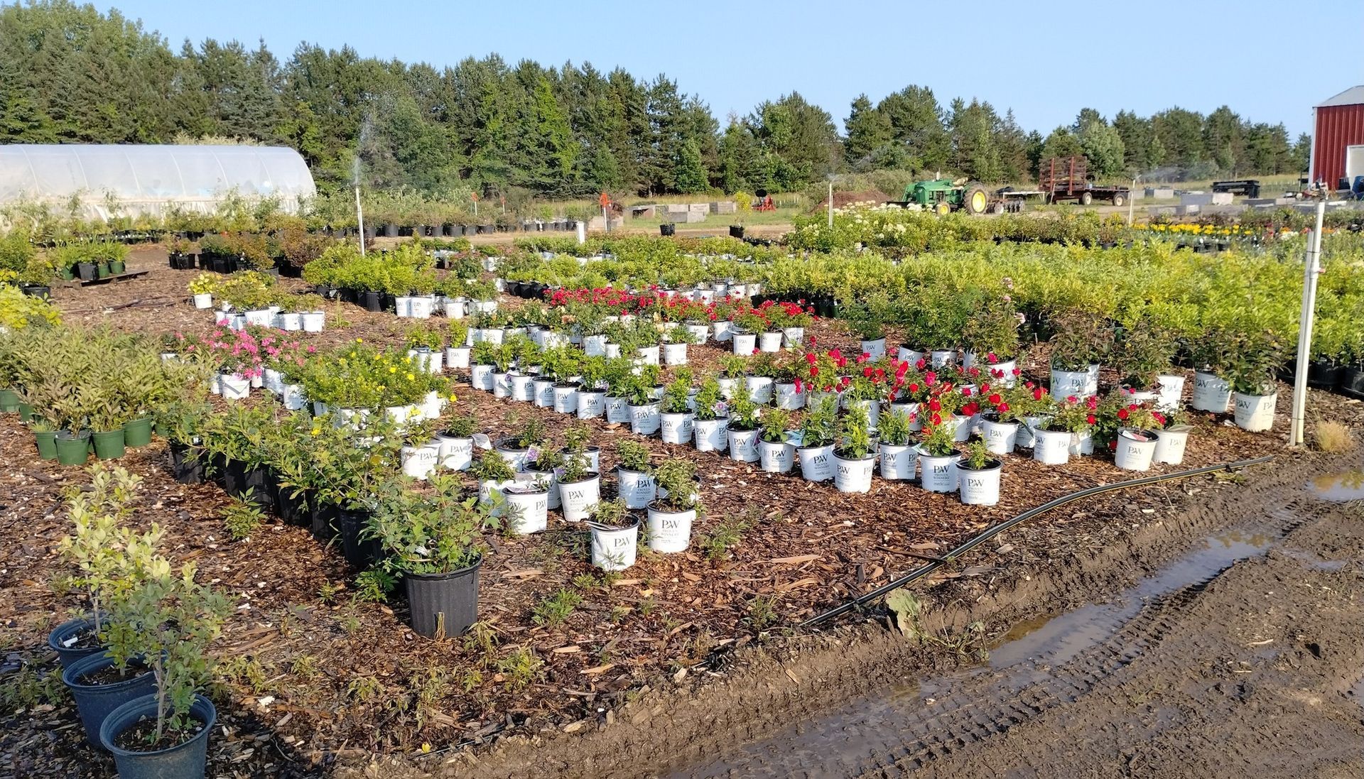 A lot of potted plants are sitting on the ground in a garden.