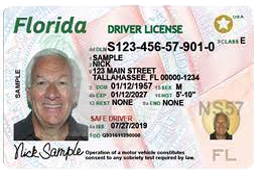Driver License — Coral Springs, FL — The Sell South Florida Team 