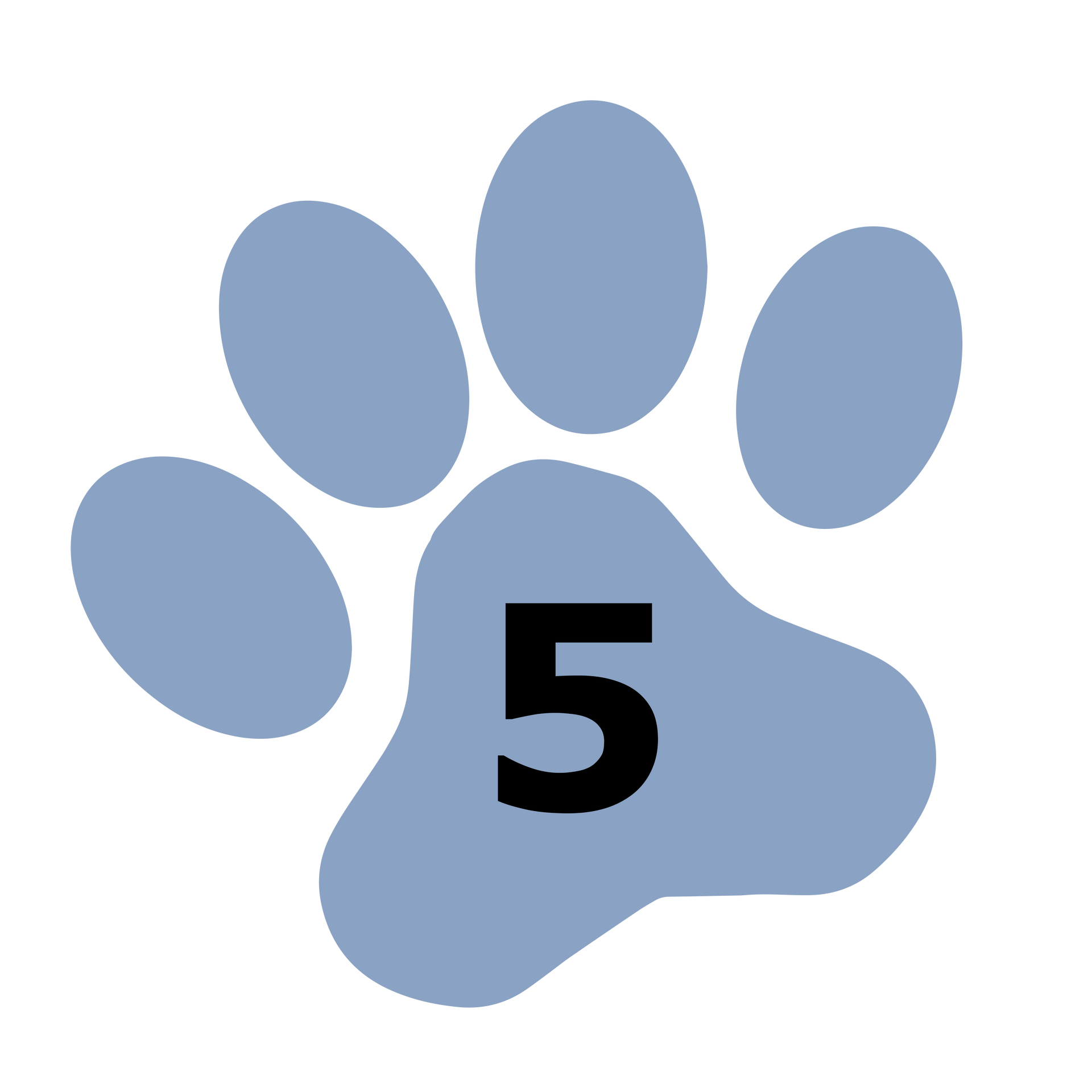 Paw Print with Number 5 | Medford, OR | Best Friends Animal Hospital Of East Medford
