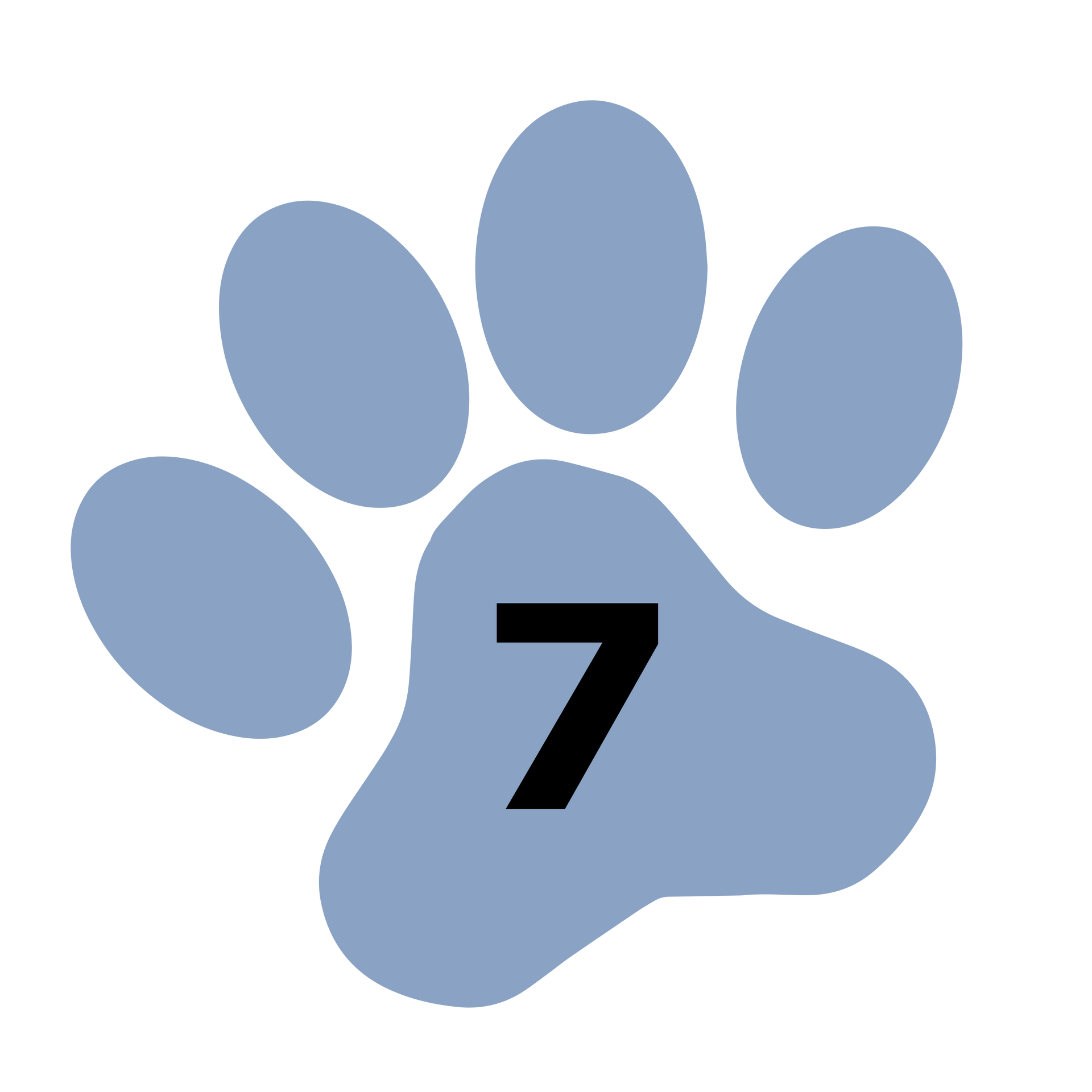 Paw Print with Number 7 | Medford, OR | Best Friends Animal Hospital Of East Medford