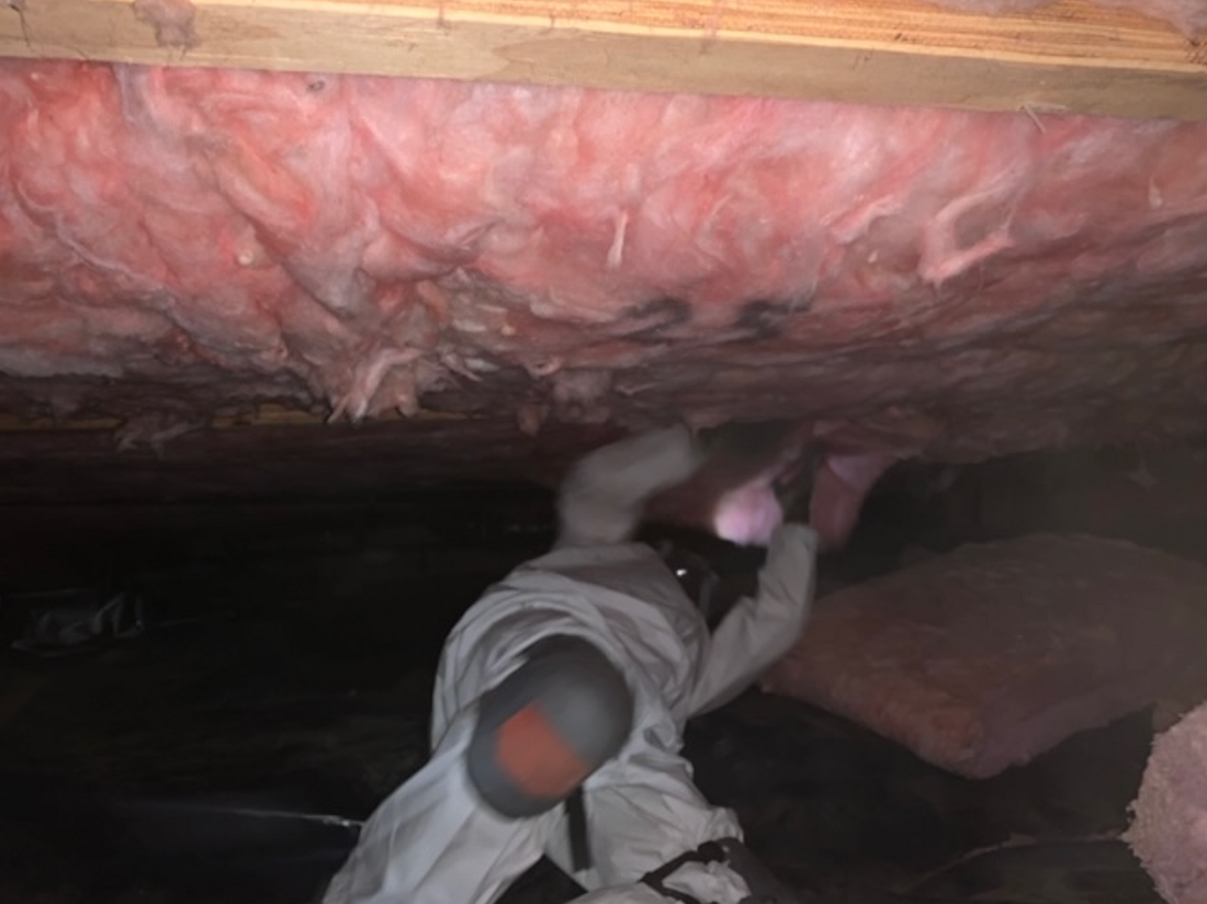 An image of Crawl Space Insulation in Beaverton OR