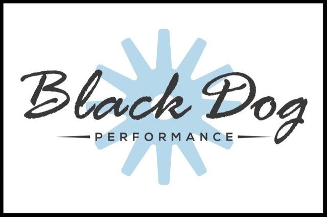 A black dog performance logo with a blue star in the background