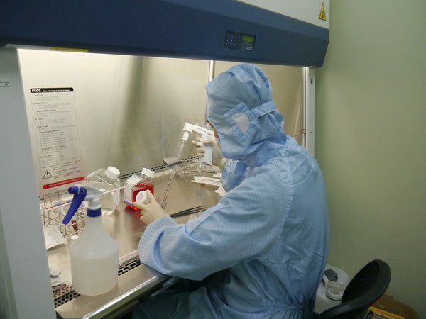 國家認證尖端醫GTP實驗室的細胞操作台