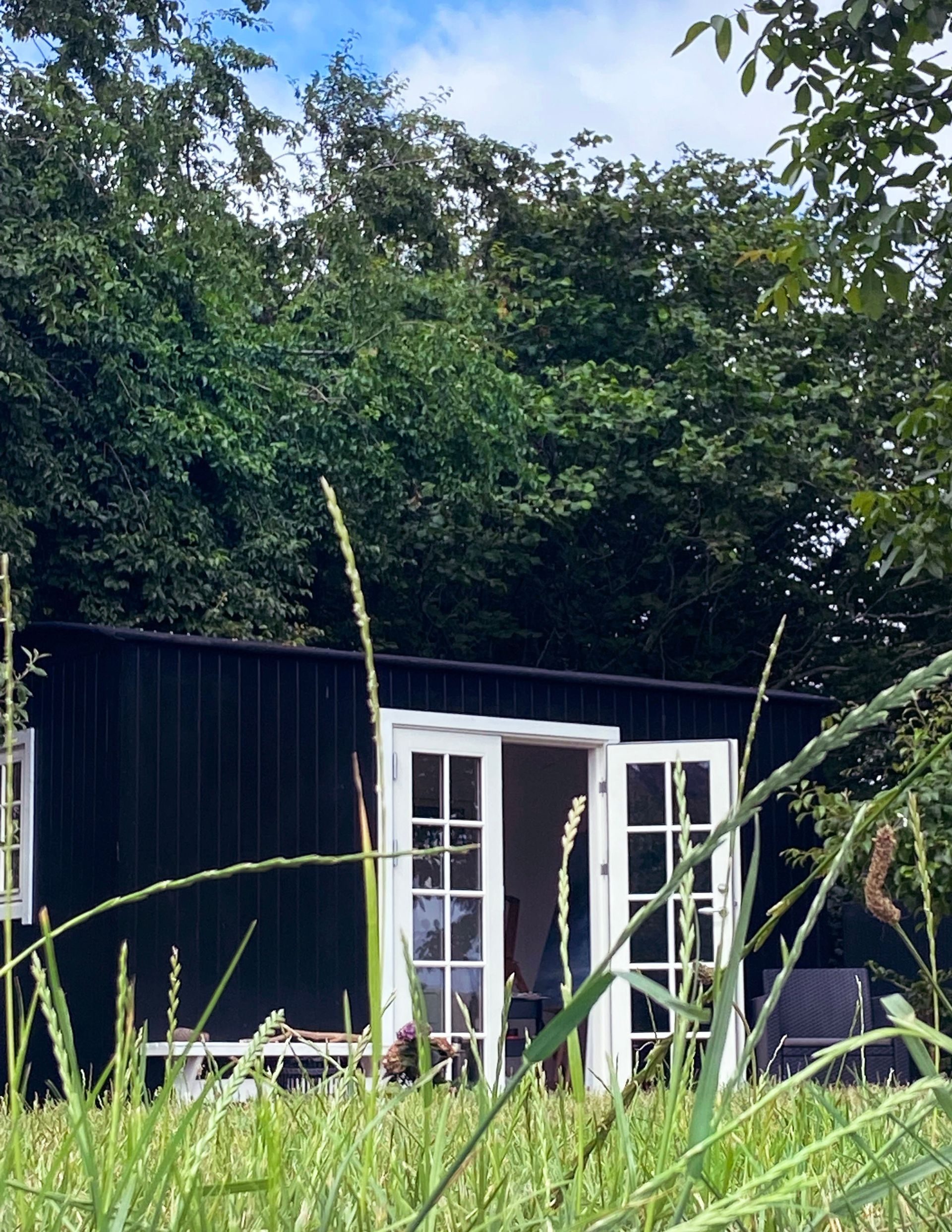 Et sort hus med hvide døre er omgivet af højt græs og træer.